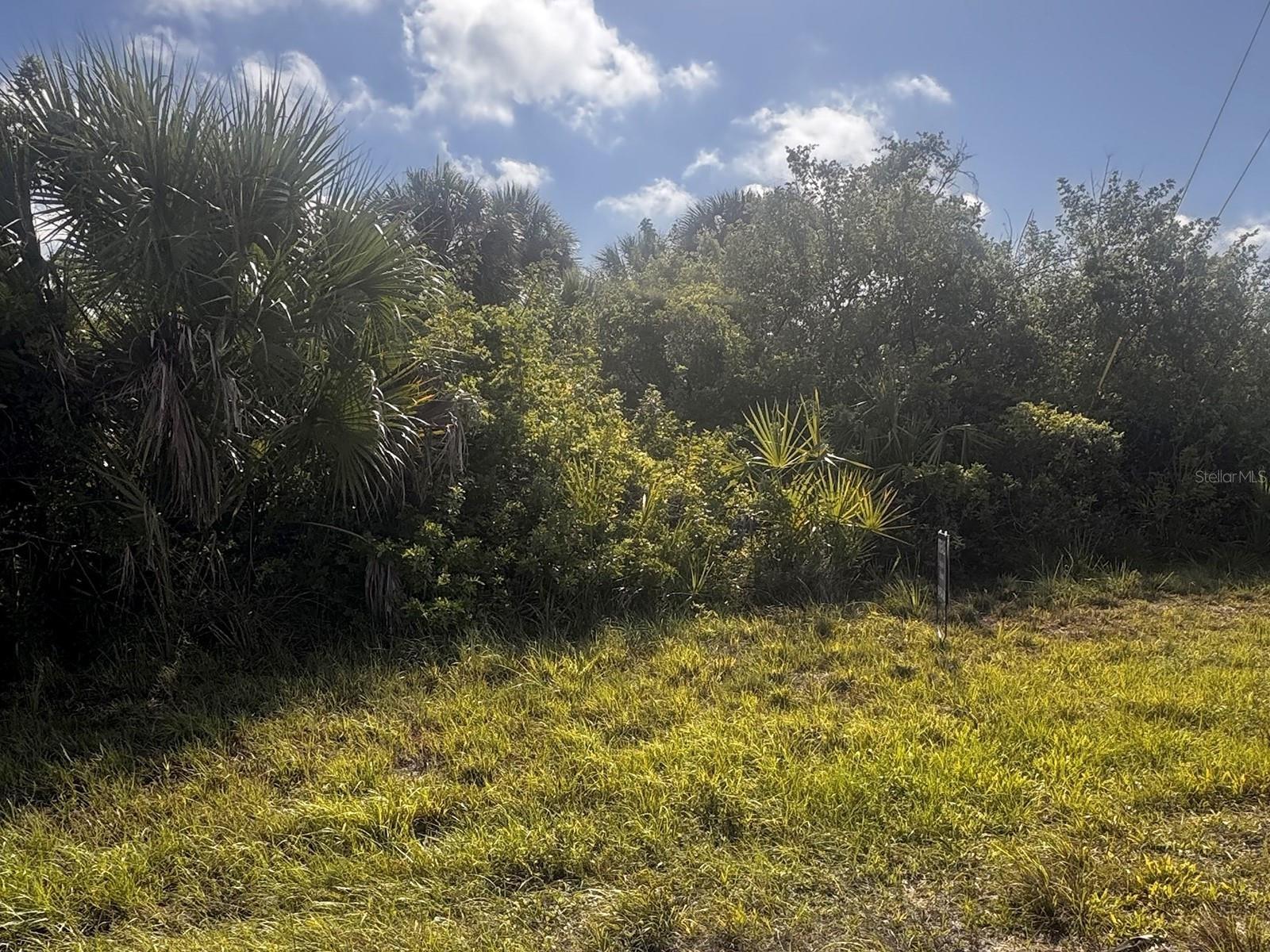 Image 1 Image 1