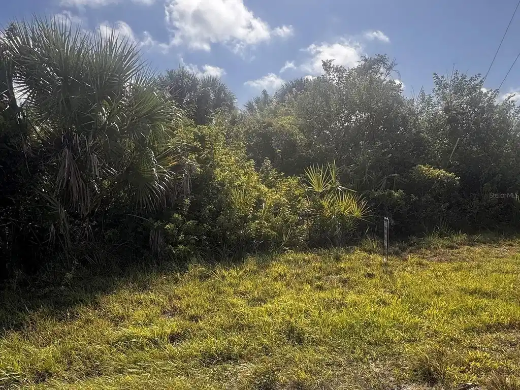 Image 1 Image 1