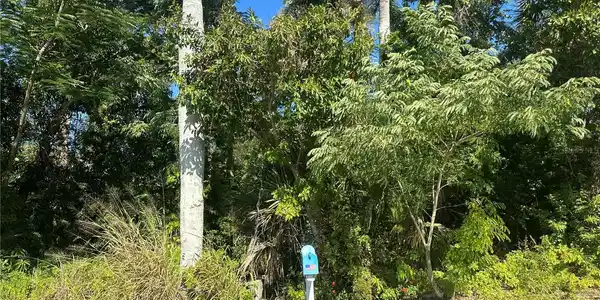 Image 3 Image 3