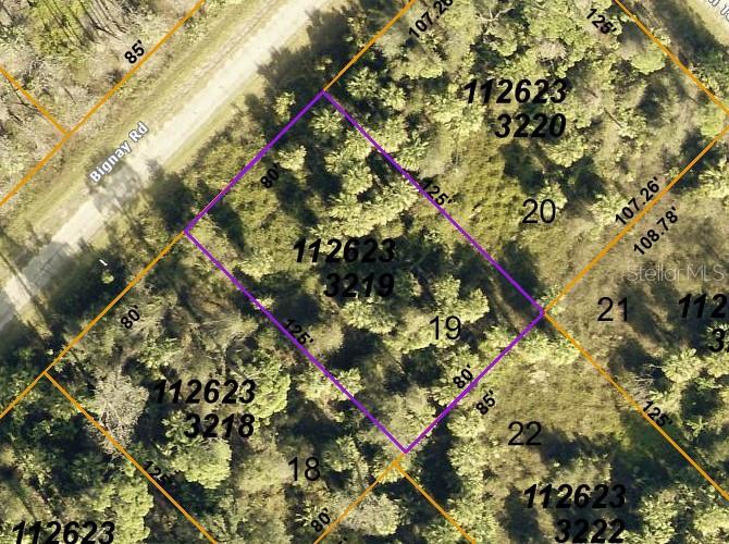 Image 1 Image 1