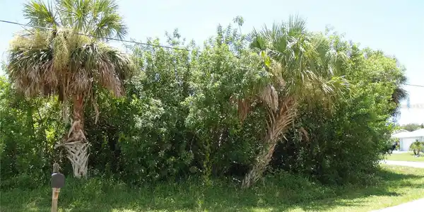 Image 3 Image 3