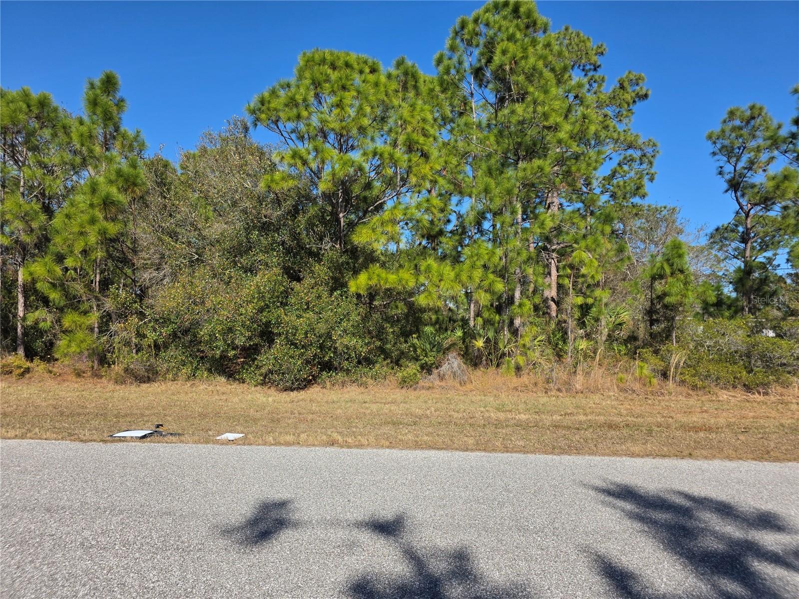 Image 1 Image 1