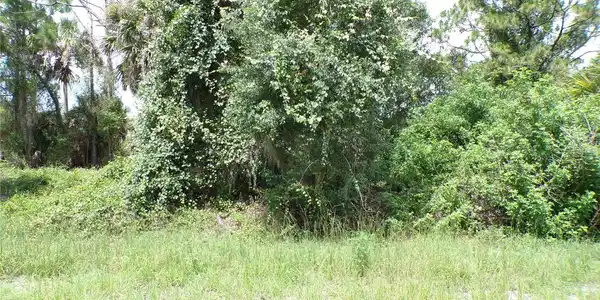 Image 2 Image 2