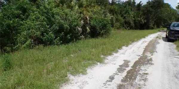 Image 4 Image 4