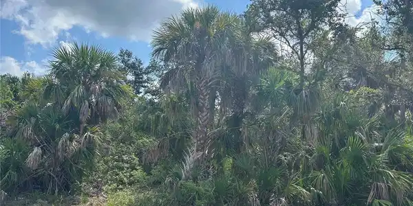 Image 4 Image 4