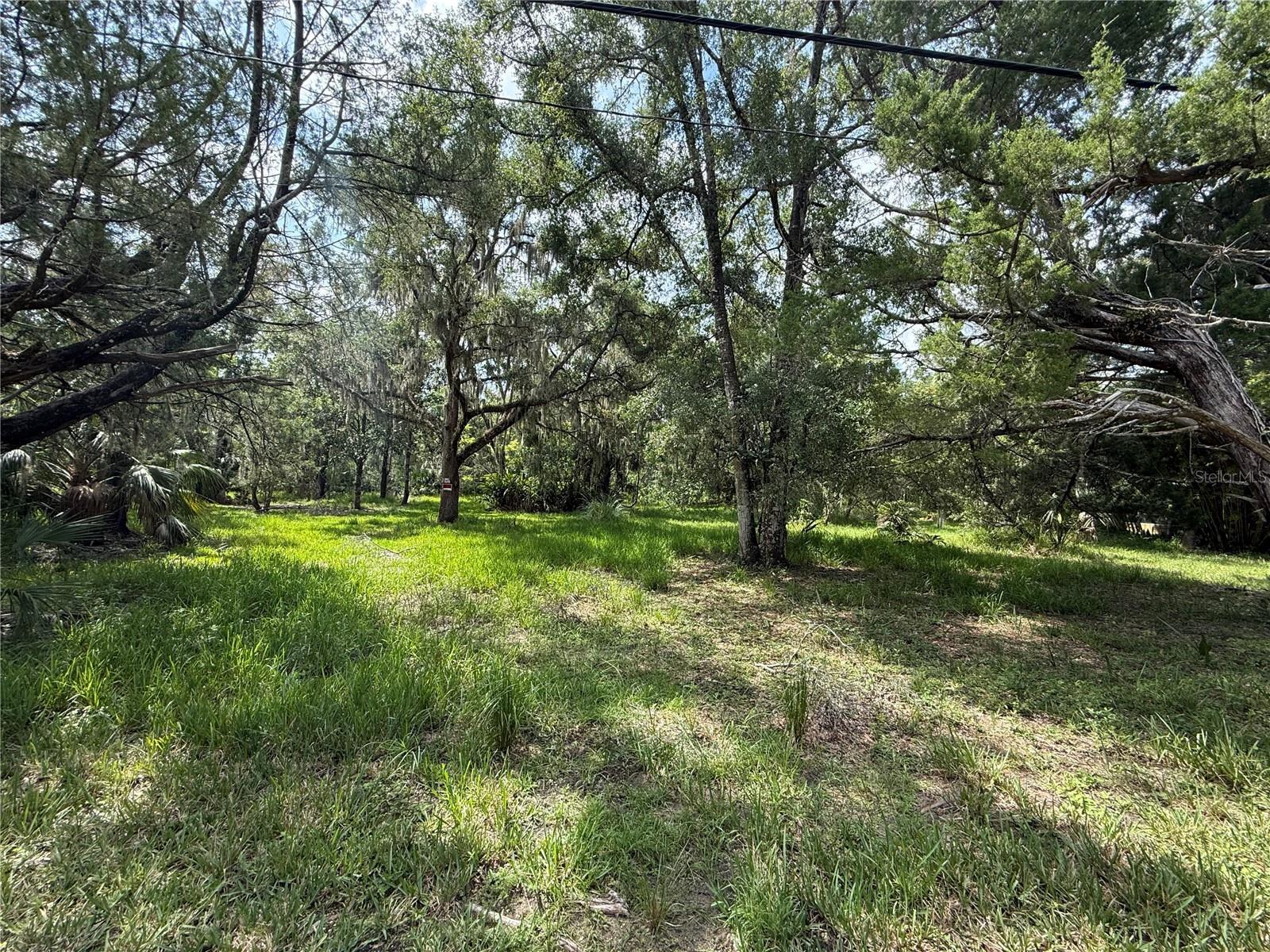 Image 1 Image 1