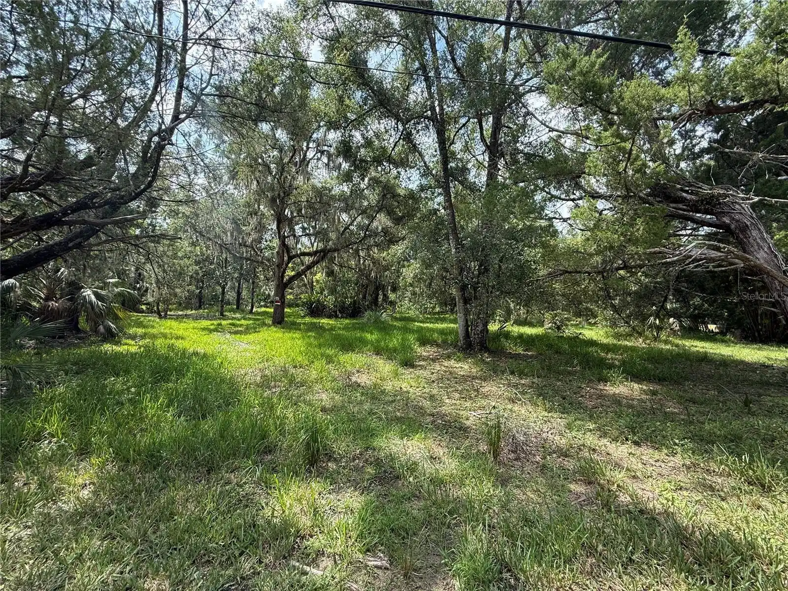 Image 1 Image 1