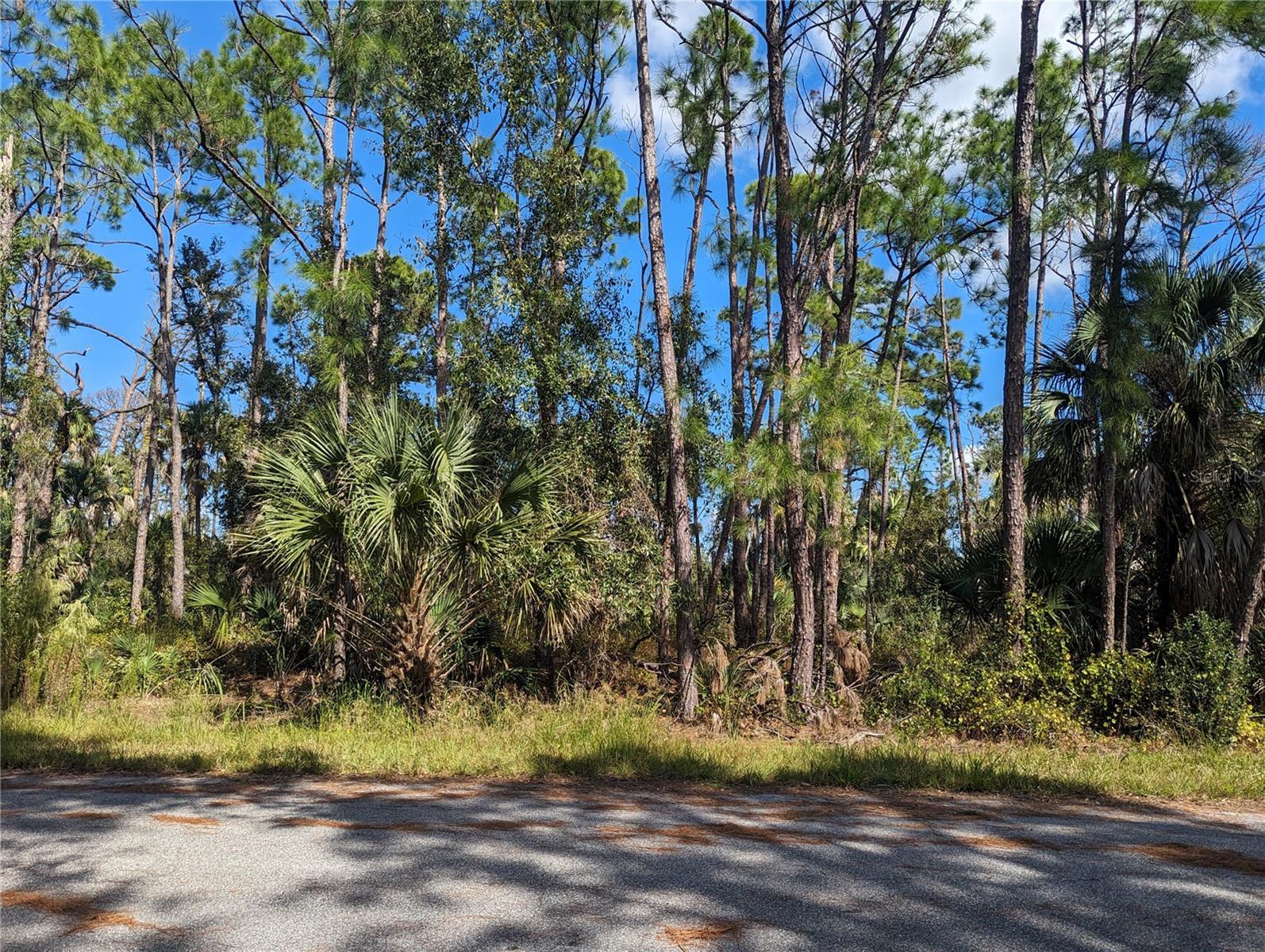 Image 1 Image 1
