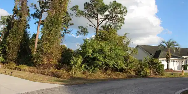 Image 3 Image 3