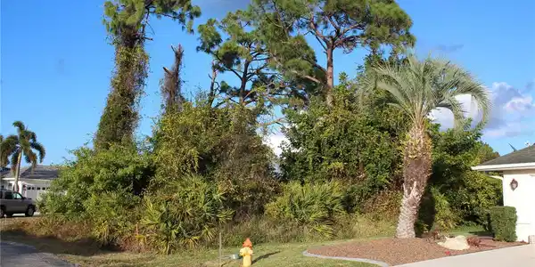 Image 4 Image 4