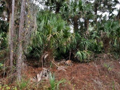 DAPHNE ROAD