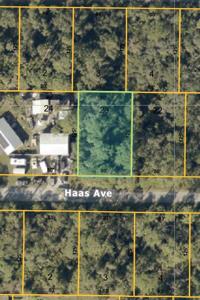 HAAS AVENUE