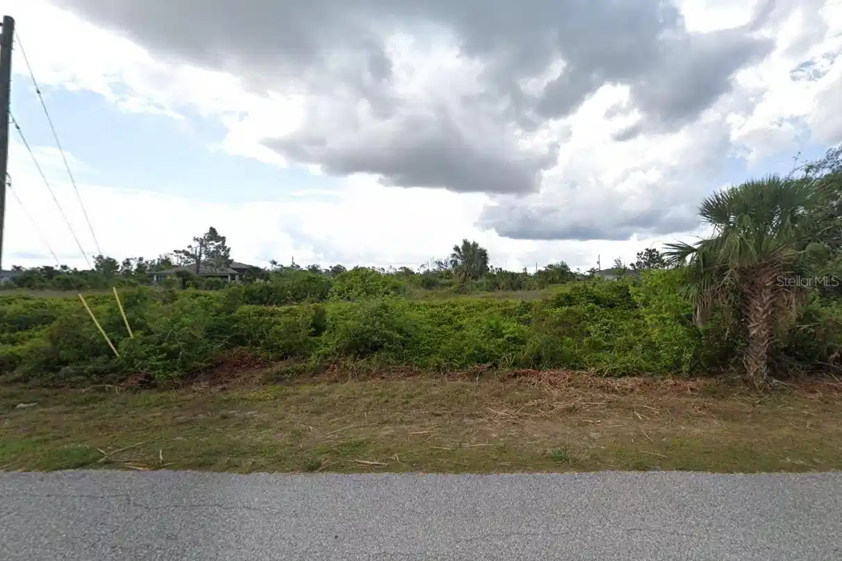 Image 1 Image 1