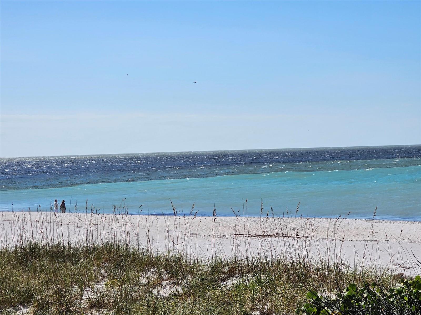 Image 3 Image 3