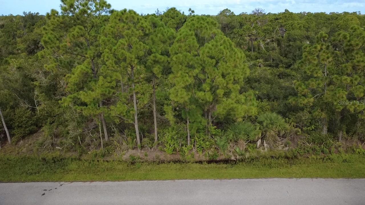 Image 4 Image 4