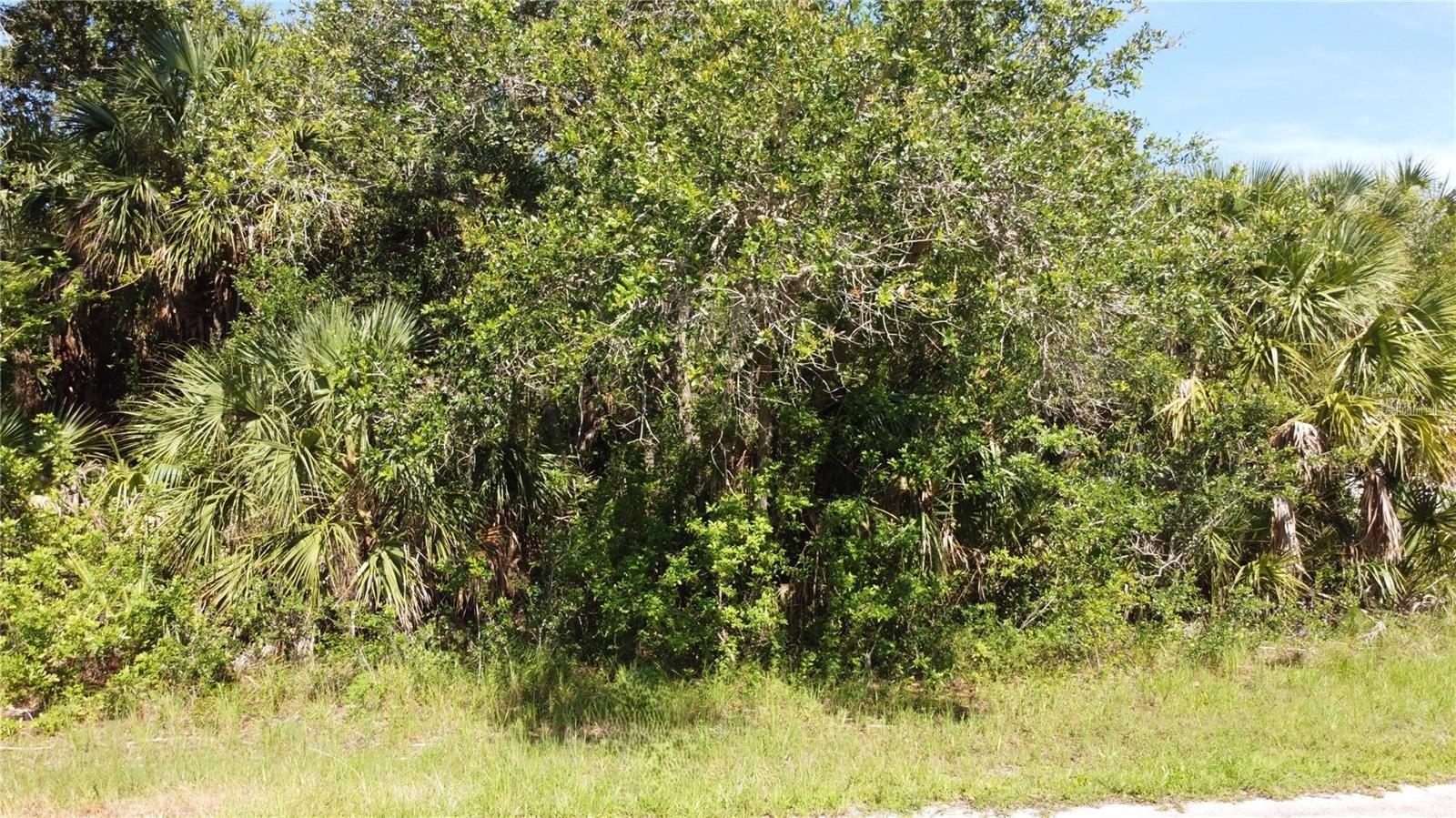 Image 4 Image 4