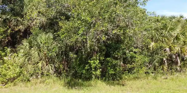 Image 4 Image 4