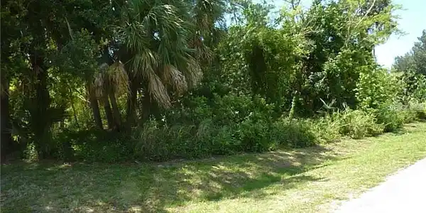 Image 3 Image 3