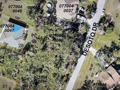 LOTS 44 & 45 DESOTO DRIVE