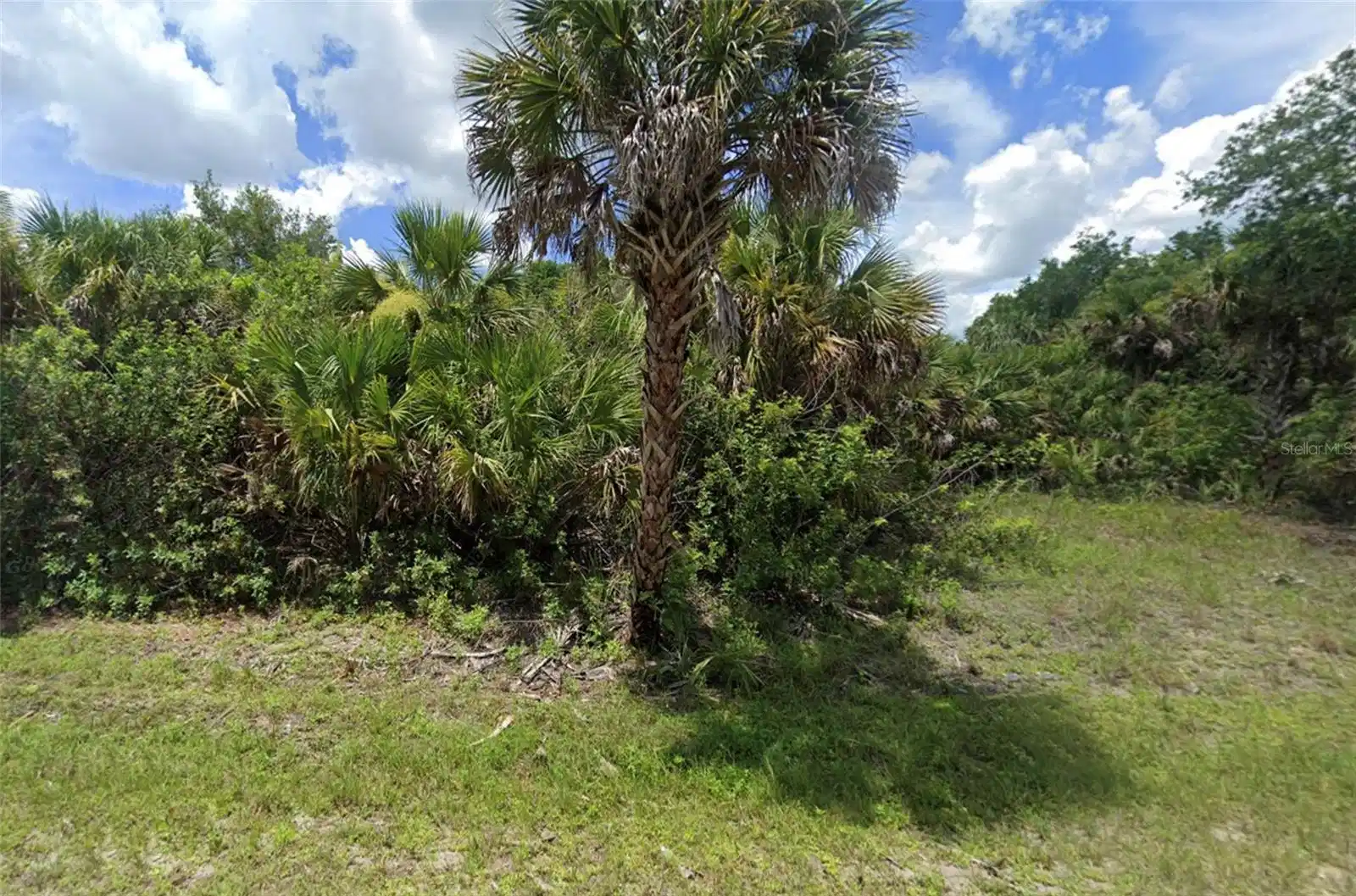 Image 1 Image 1