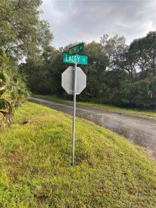 NUTMEG AVENUE