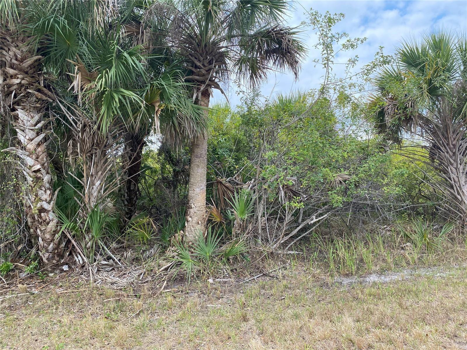 Image 1 Image 1