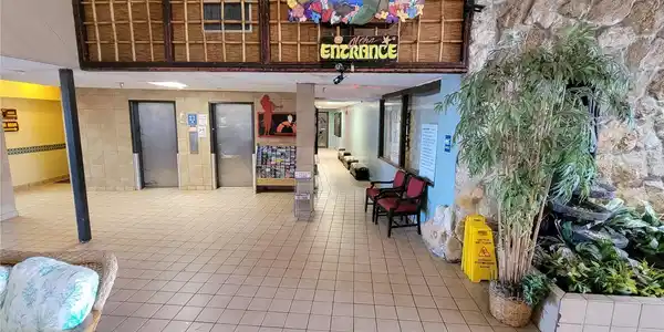 Image 4 Image 4