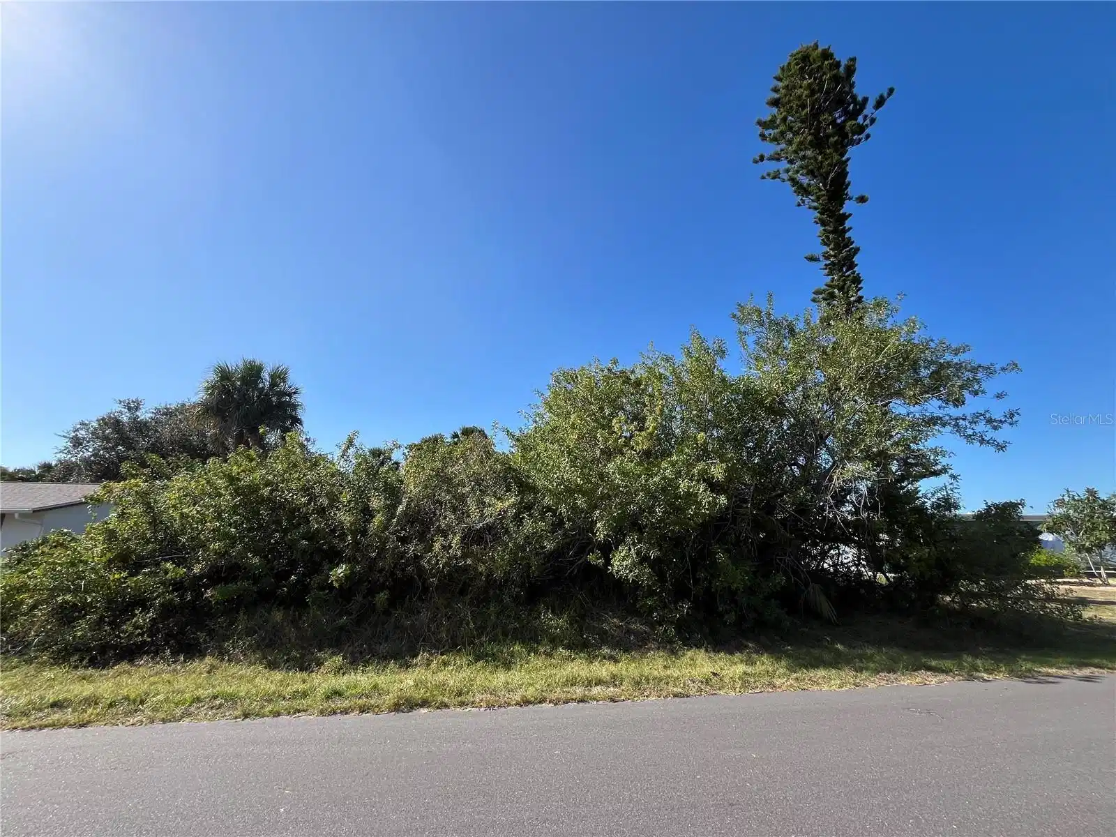 Image 1 Image 1