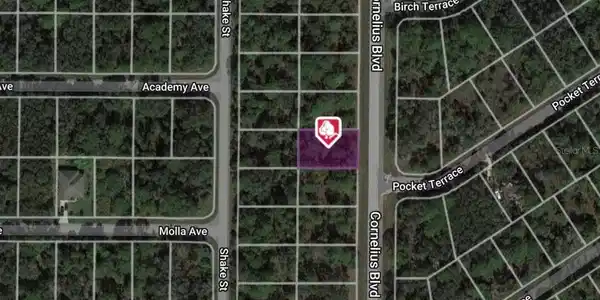 1323 CORNELIUS BOULEVARD