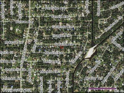 COQUINA AVENUE
