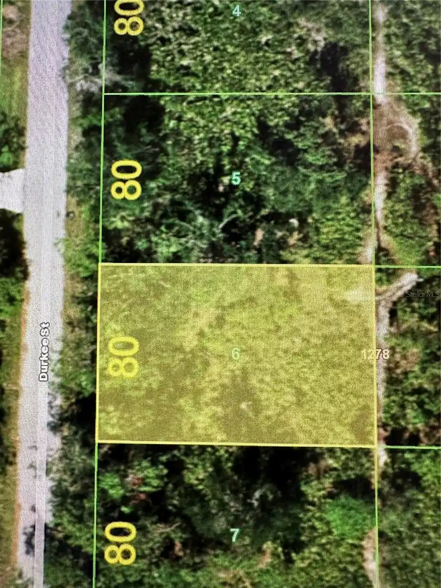 Image 1 Image 1