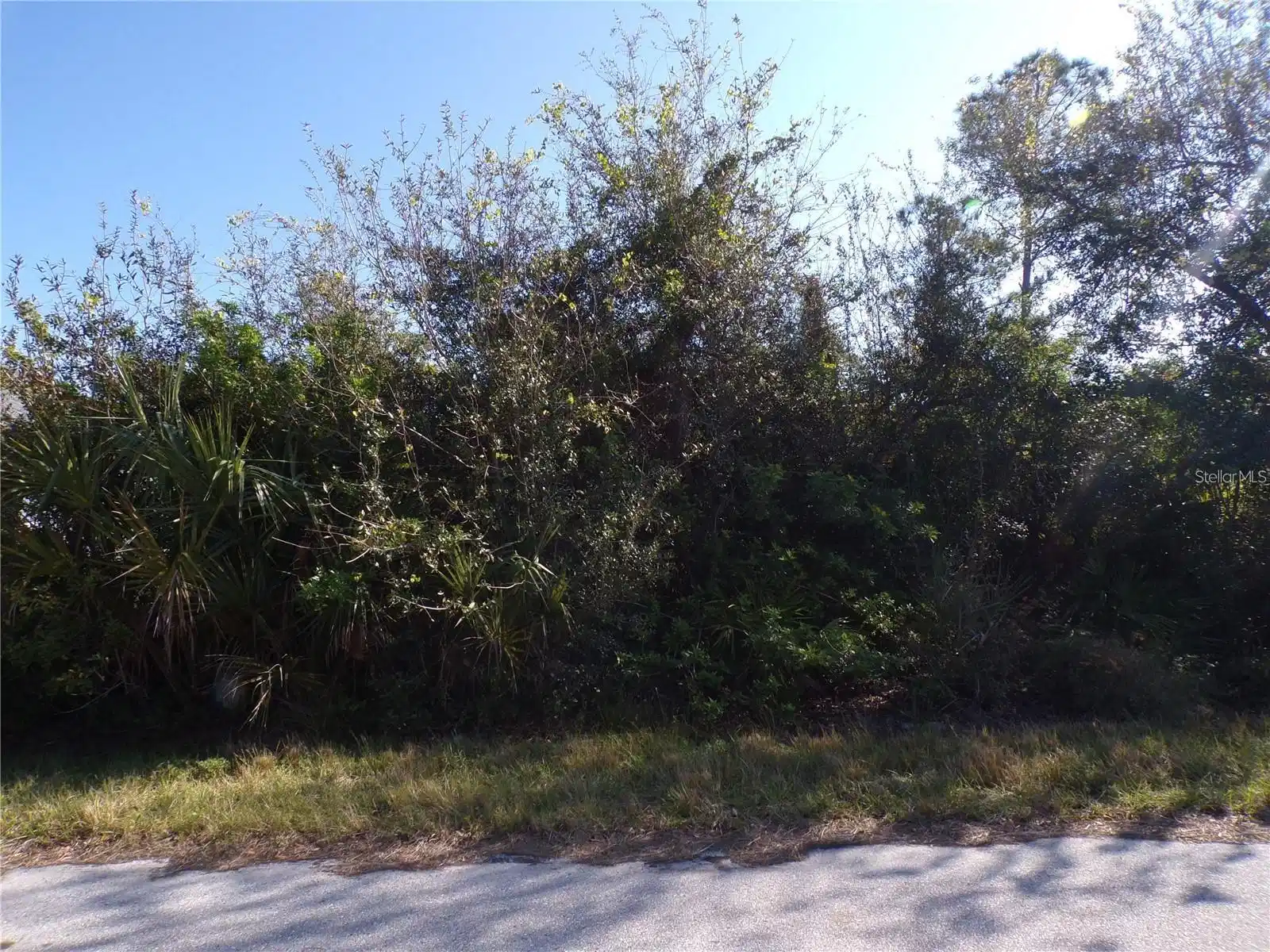 Image 1 Image 1