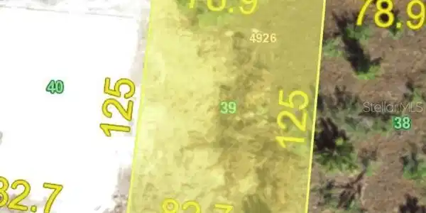 Image 2 Image 2