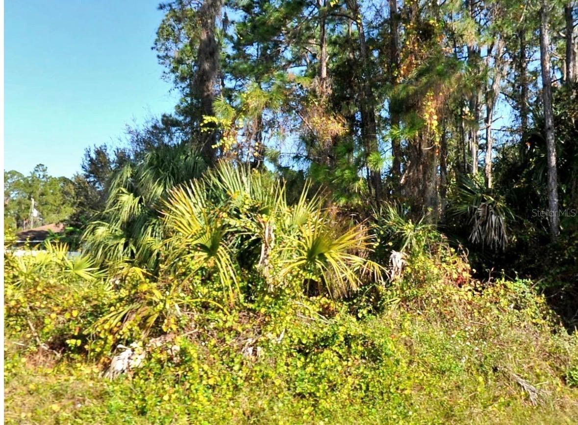 Image 4 Image 4