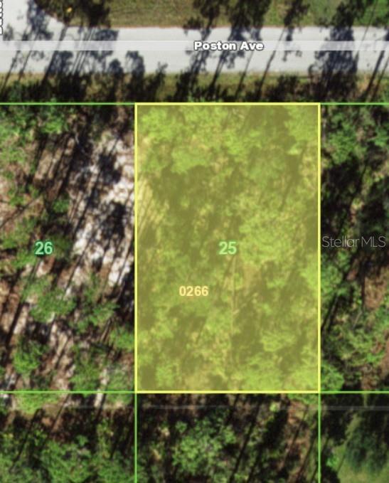 Image 2 Image 2