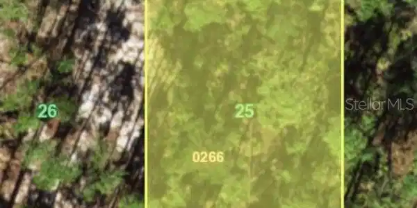 Image 2 Image 2