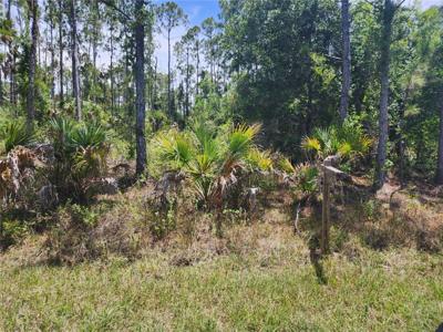 Lot 12 SILVERLEAF ROAD