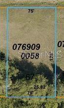 LOT 67 TRIONFO AVENUE
