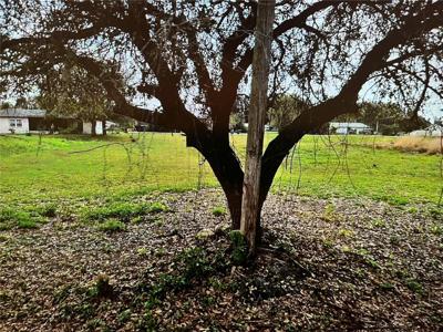 LOT 62&63 HERNANDO ROAD