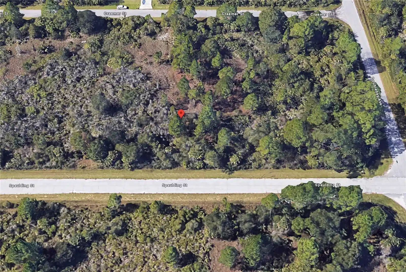 Image 1 Image 1