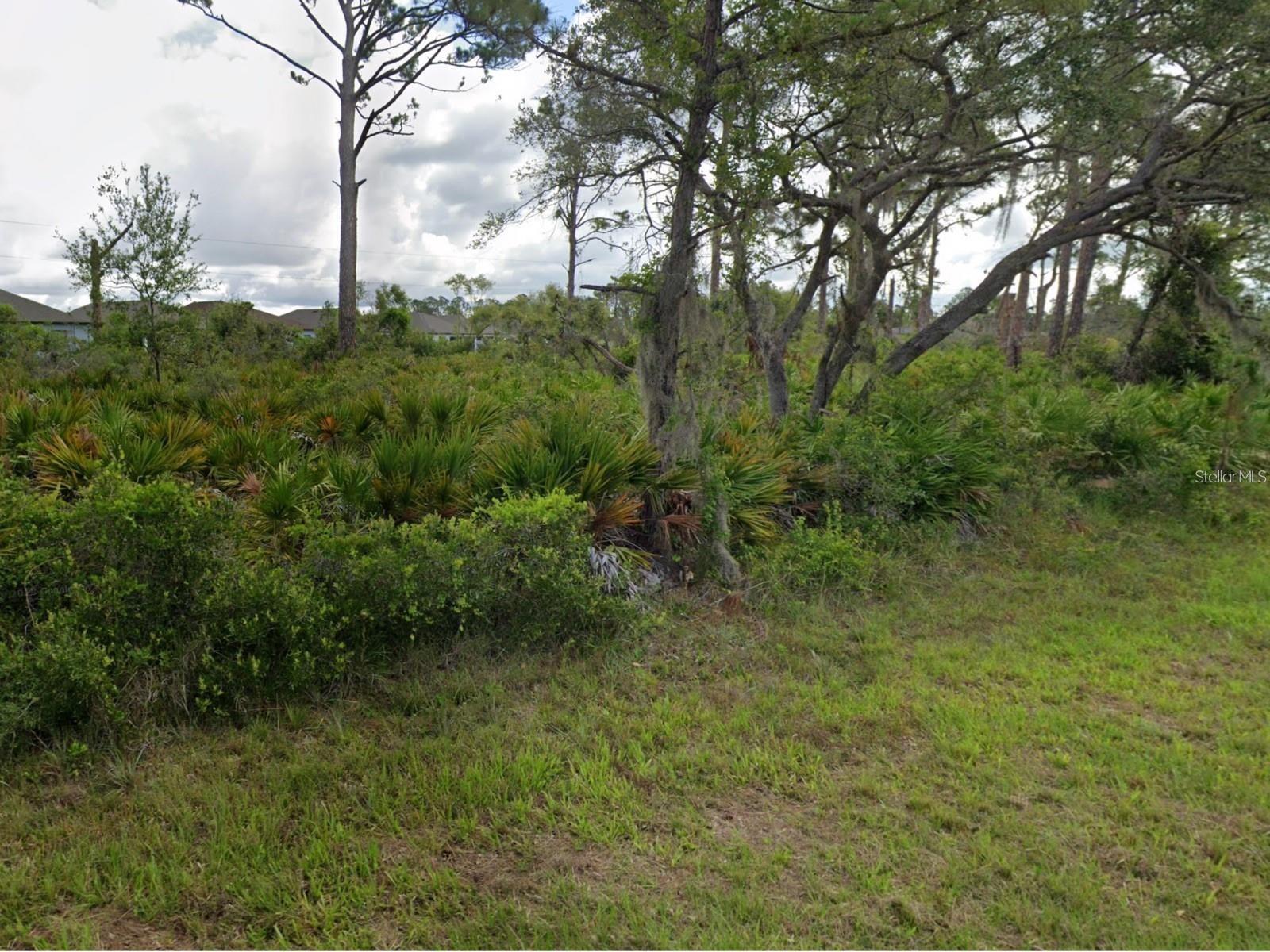 Image 4 Image 4