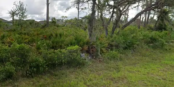 Image 4 Image 4