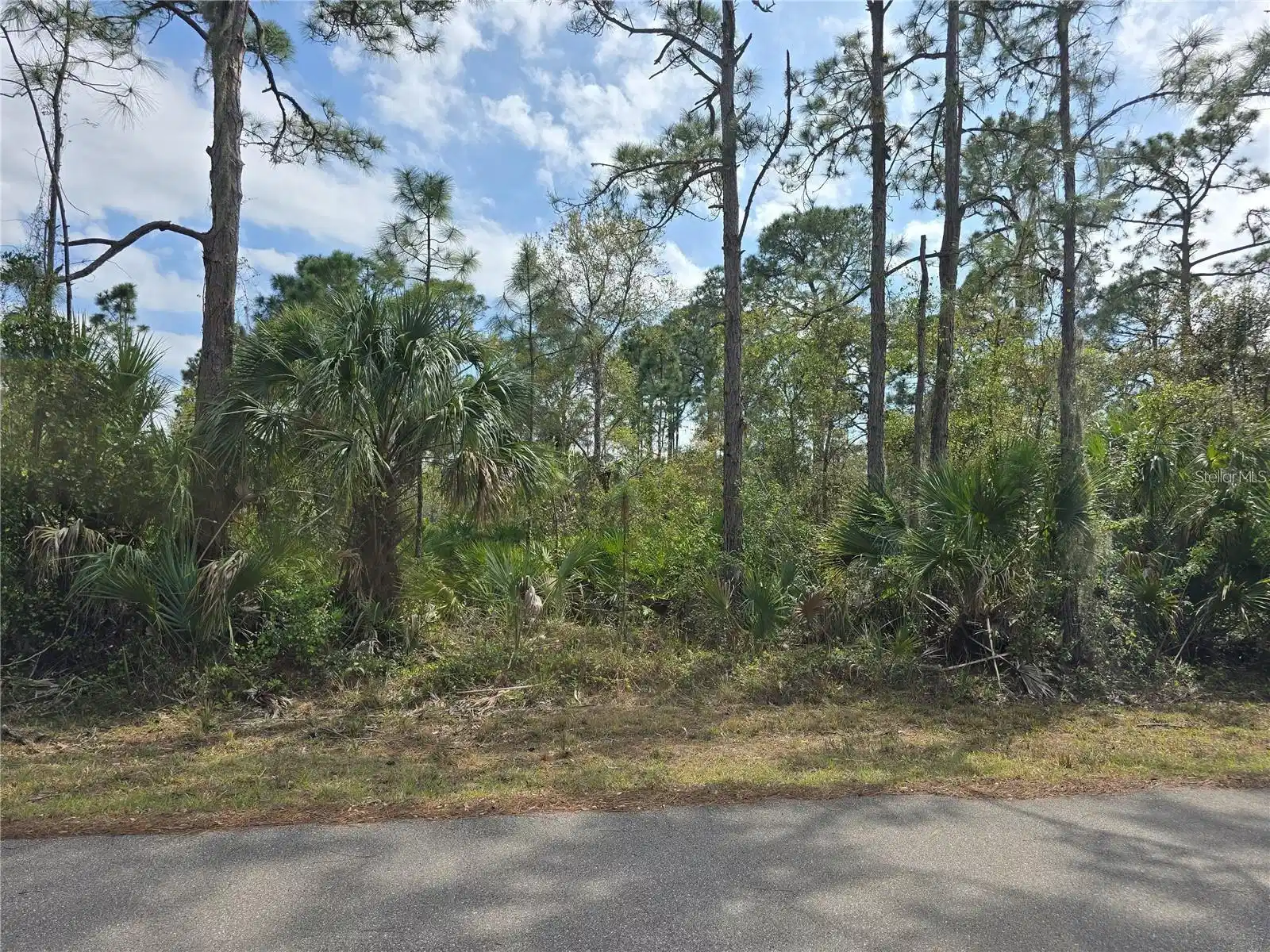 Image 1 Image 1