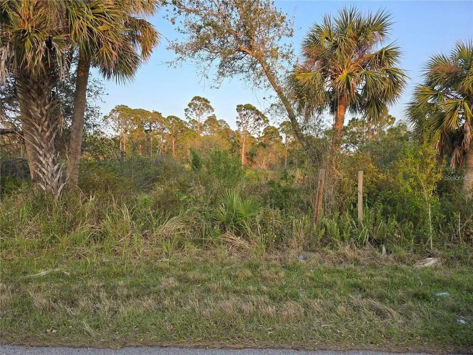 Image 1 Image 1
