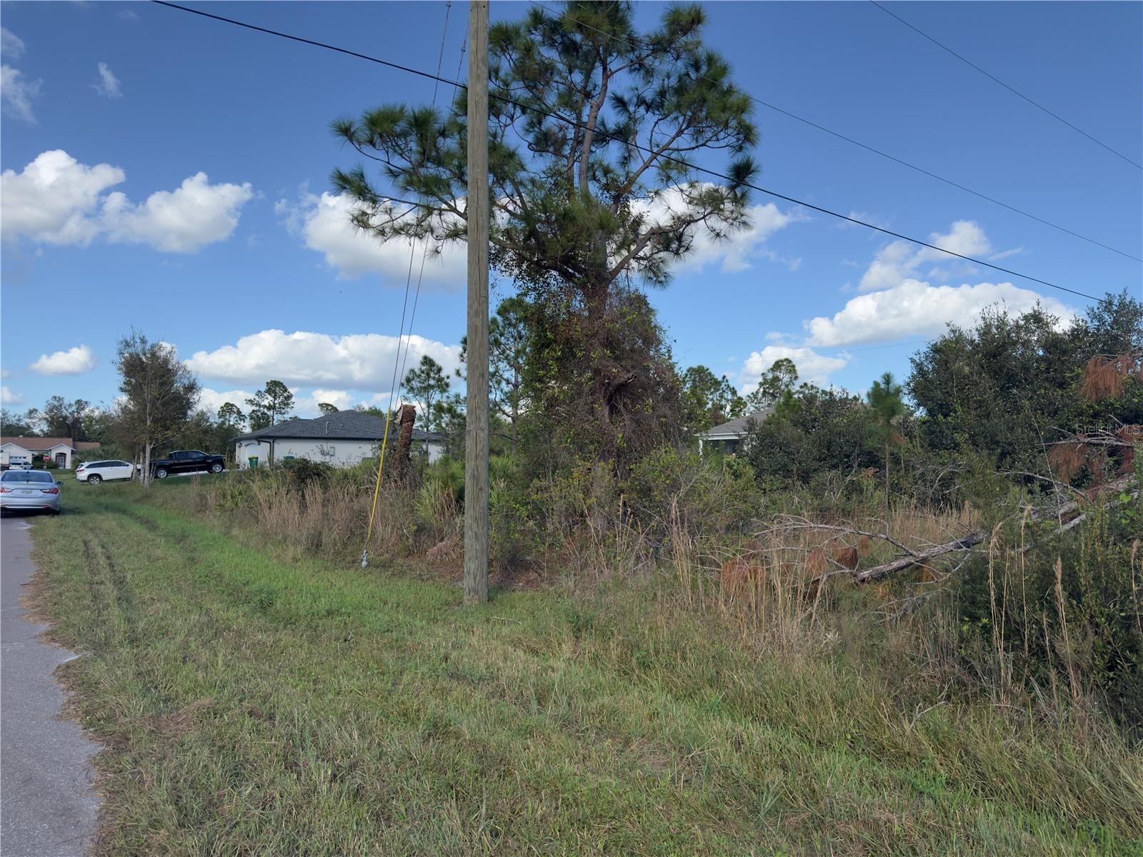 Image 4 Image 4