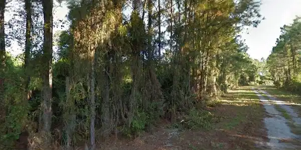 Image 2 Image 2