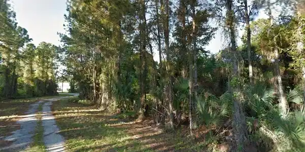 Image 3 Image 3