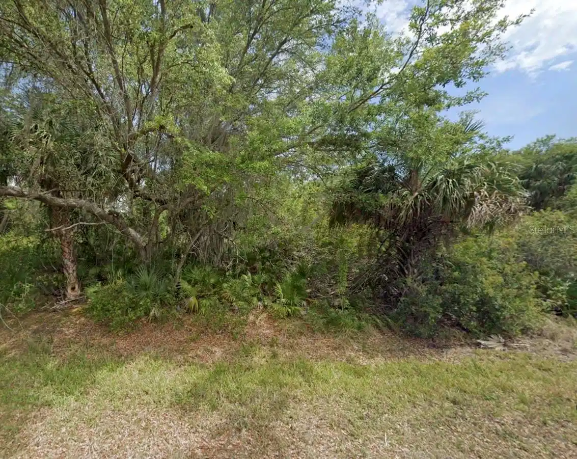 Image 1 Image 1