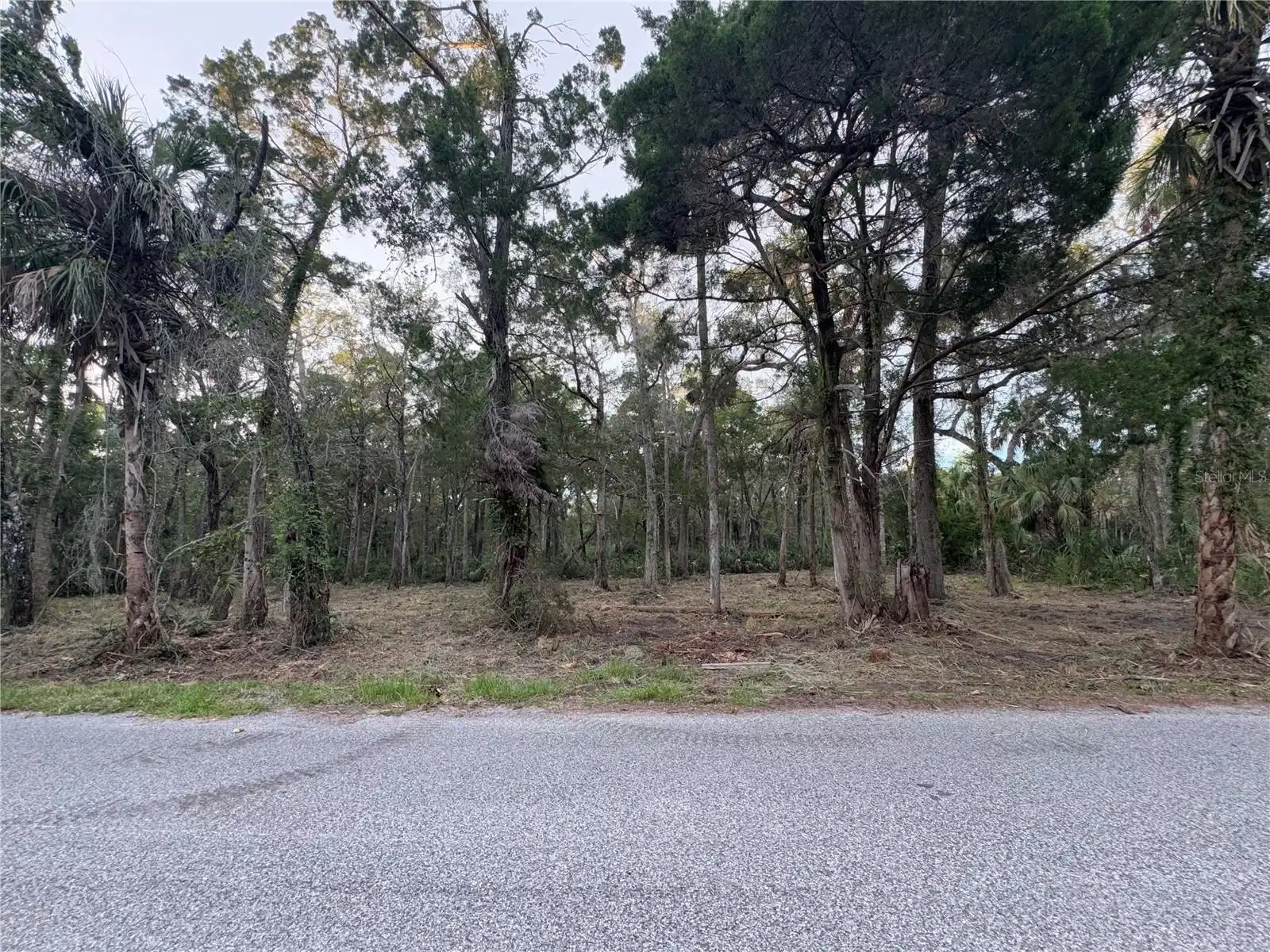Image 1 Image 1