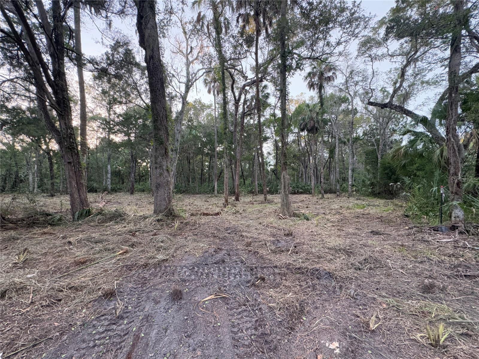 Image 4 Image 4